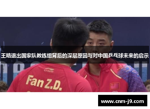 王皓退出国家队教练组背后的深层原因与对中国乒乓球未来的启示