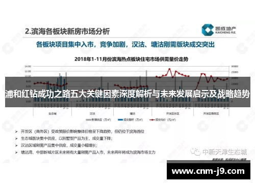浦和红钻成功之路五大关键因素深度解析与未来发展启示及战略趋势
