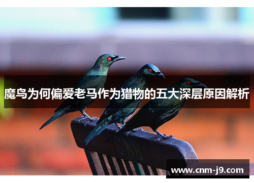魔鸟为何偏爱老马作为猎物的五大深层原因解析 魔鸟为何偏爱老马作为猎物的五大深层原因解析